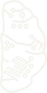 The right half of the CLEAR mark: a brain hemisphere drawn as a circuit board.