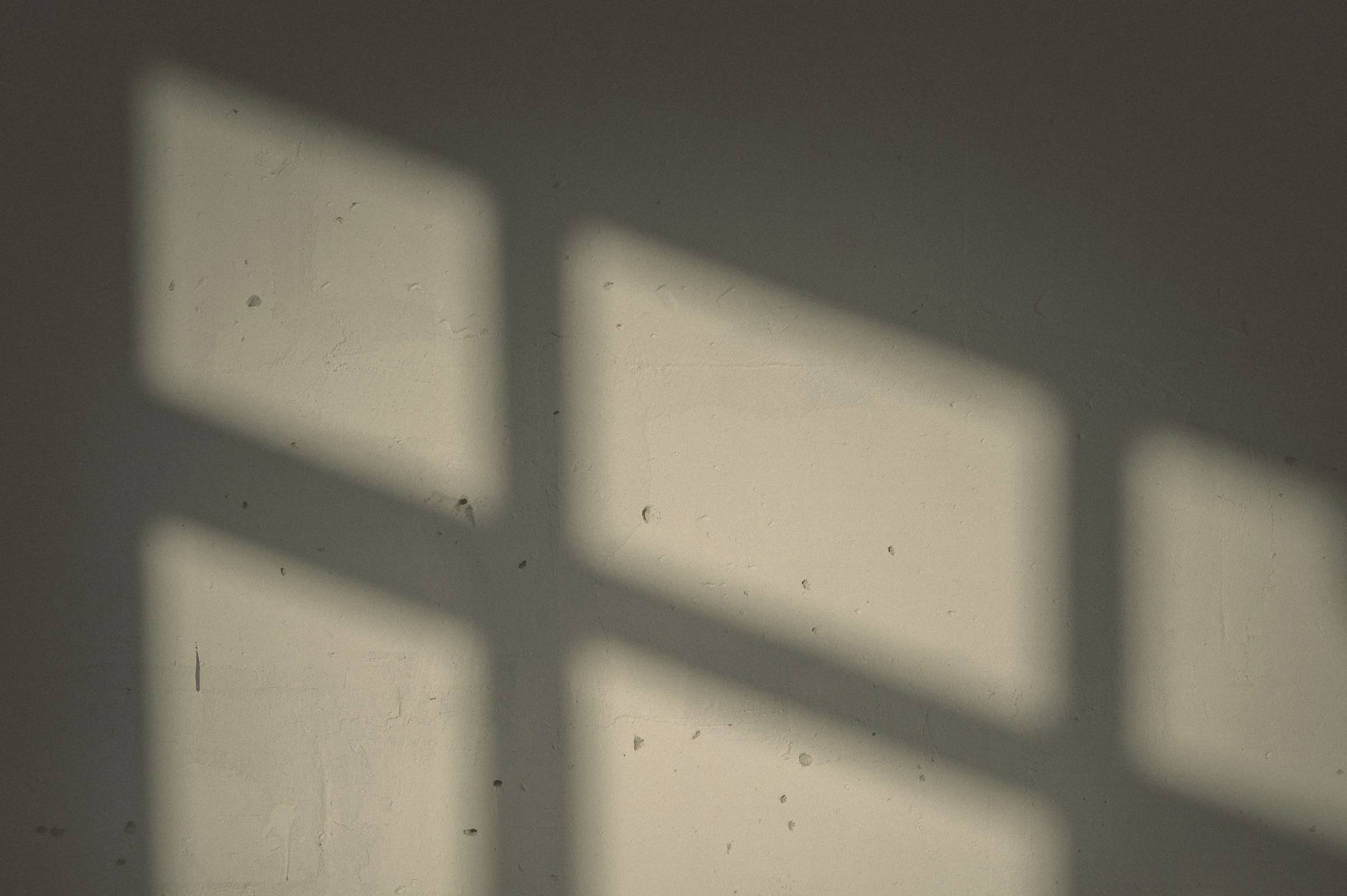 Soft window-frame shadow falling across a textured grey wall.